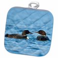 thumbnail image 1 of 3dRose Common Loon bird, Whitefish Lake in Montana - US27 CHA1740 - Chuck Haney - Pot Holder, 8 by 8-inch, 1 of 2