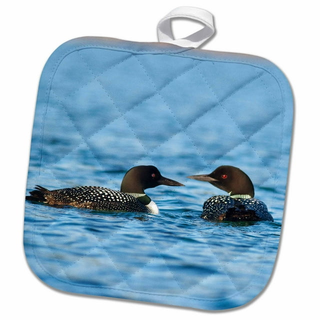 3dRose Common Loon bird, Whitefish Lake in Montana - US27 CHA1740 - Chuck Haney - Pot Holder, 8 by 8-inch