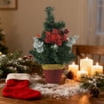 thumbnail image 4 of Hometravel Mini Christmas Tree Plant, Artificial Desktop Holiday Decor, Small Potted Tree Arrangement for Table, Shelf, Indoor Display, 4 of 7