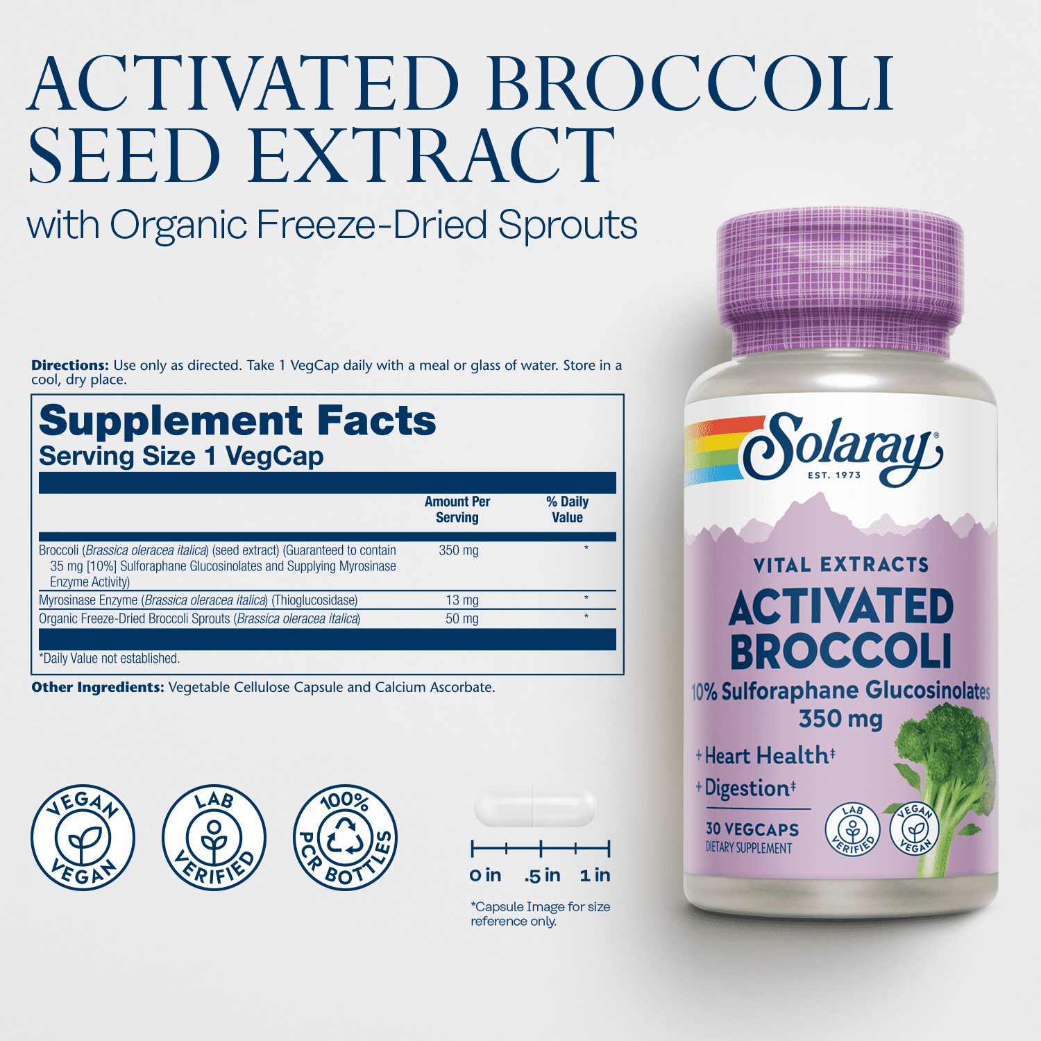 Solaray Activated Broccoli Seed Extract 350 mg | 10% Sulforaphane Glucosinolates for Antioxidant Support | 30 VegCaps