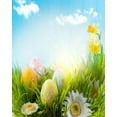 thumbnail image 2 of ABPHOTO Polyester 5x7ft Happy Easter Backdrop Painted Eggs Backdrops Flowers Green Grass Meadow Blue Sky White Cloud Frohe Ostern Spring Photography Background for Kids Baby Photo Studio Props, 2 of 3