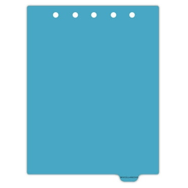 Carstens - Heavy Duty Miscellaneous Plastic Ring Binder Dividers, Bottom Tab, 1/9 Cut, Tab 8 Position, US Letter, Pack of 10, (2623-16) - Ideal Medical Chart Dividers for 3 Ring Binders