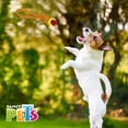 thumbnail image 2 of Juguete jaladera Fancy Pets con pelota de tenis 32 cm, 2 of 2
