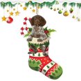 thumbnail image 1 of Adornos navideños acrílicos DGLQMYX, adornos navideños para mascotas, 3.14 pulgadas, calcetín navideño colgante, colgante para árbol de Navidad, adornos navideños acrílicos portátiles y lindos., 1 of 6