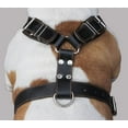 thumbnail image 2 of Black Genuine Leather Dog Harness. 28"-34" Chest, 1.5" Wide Straps, Rottweiler, Bulldog, 2 of 3