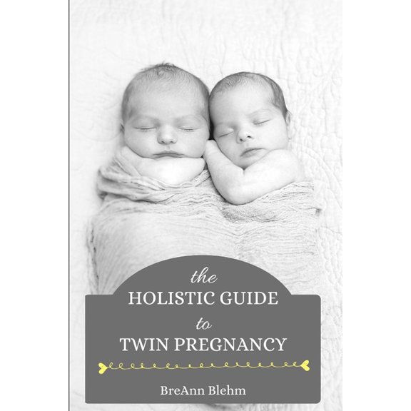 The Holistic Guide to Twin Pregnancy (Paperback)