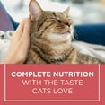 thumbnail image 2 of Cat Chow Complete with Real Salmon, Dry Cat Food 6.4kg, 2 of 8