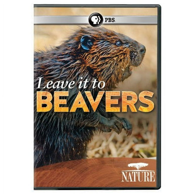 Nature: Leave It to Beavers (DVD), PBS (Direct), Special Interests