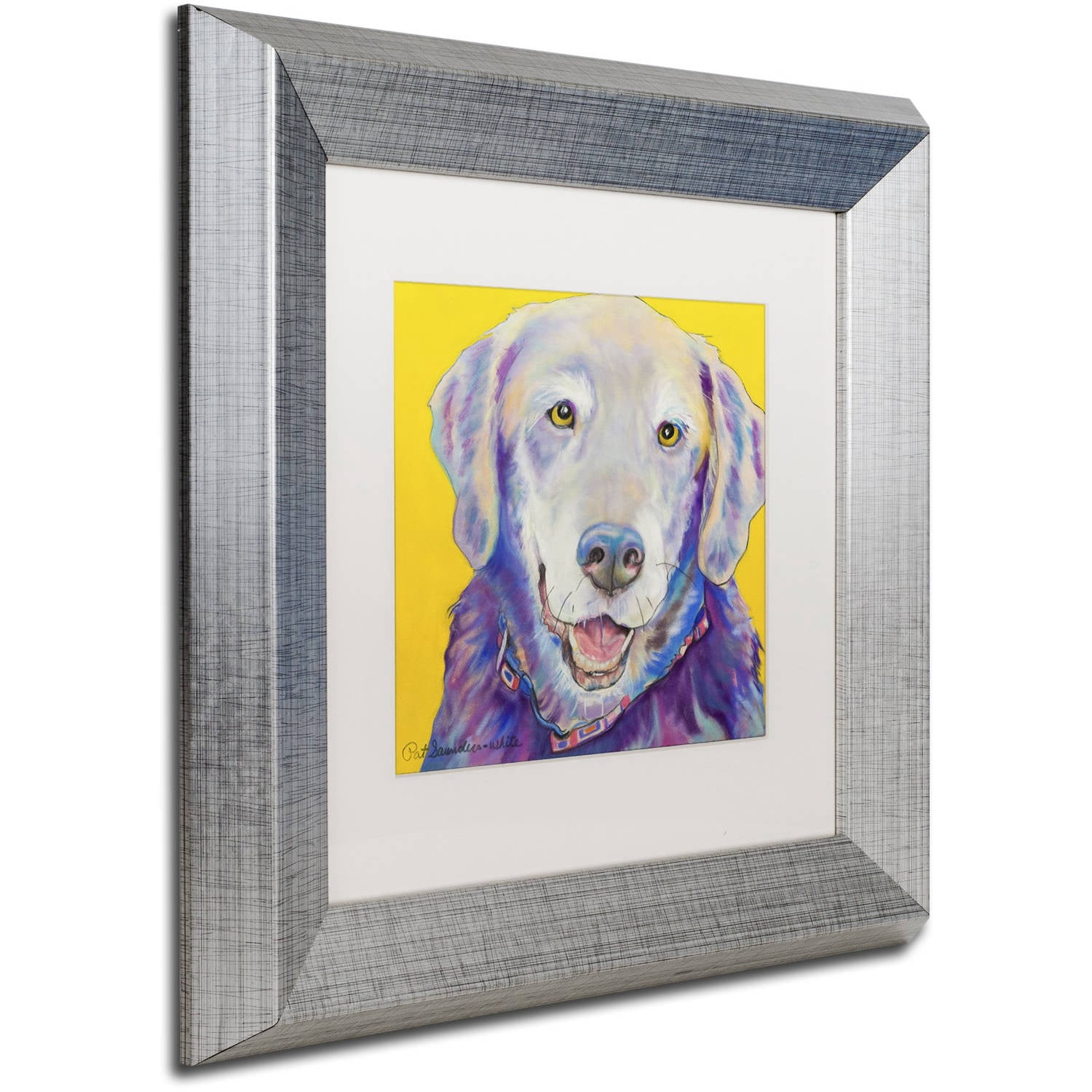 Trademark Fine Art "Willie" Canvas Art by Pat Saunders-White, White Matte, Silver Frame