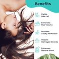 thumbnail image 3 of Pilgrim Argan Oil Hair Mask , 200ml Each (Pack of 2), 3 of 5