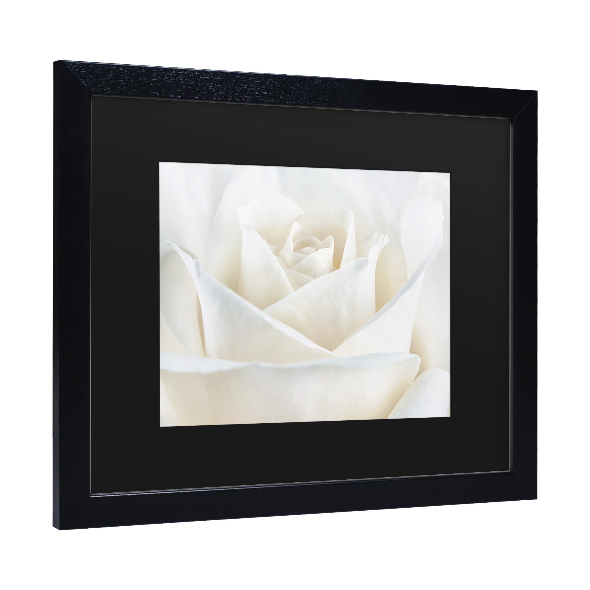 Trademark Fine Art 'Pure White Rose' Canvas Art by Cora Niele