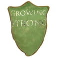 thumbnail image 2 of HBO Game of Thrones Coussin Bouclier de Tyrille de Maison de Collection Croissance Forte, 2 of 2