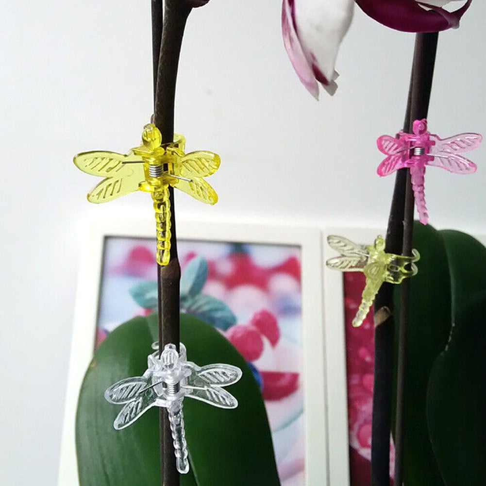 Clips D'orchidées De Libellule, 30 PCS Clips De Vigne De Fleurs En