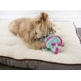 thumbnail image 6 of goDog Dinos Frills Plush Squeaker Chew Guard Dog Toy, Small, Teal, 6 of 11