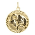 thumbnail image 4 of Reversible Capricorn Zodiac Sign Charm Coin Pendant Necklace in Solid Gold (18 Inches), 4 of 4