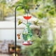 thumbnail image 5 of onlyliua ¡ Ofertas de Liquidación de Hoy Prime! Nuevo Comedero para Colibríes, Gancho para Hormigas, Gancho para Hormigas, Protección para La Ciudad, Gancho para Hormigas de Río, Accesorios, 5 of 7