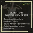 Pristine Foods White Kidney Bean Carb Blocker 1200mg Supplement Pure