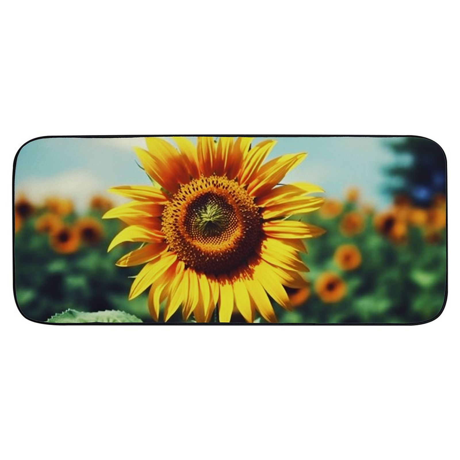 Qinduosi Decorative Door Mat, Door Mat with Non-Slip Rubber Backing, Easy Cleaning, Traps Dirt, for Entry, Patio, Garage 19.68*47.24 in