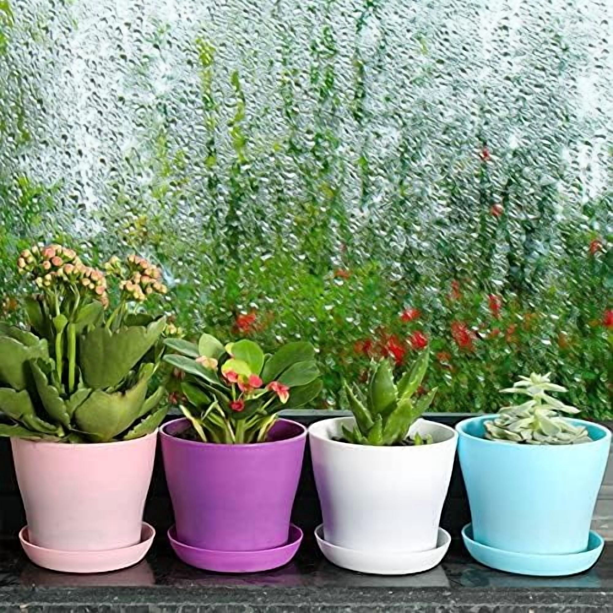 10 Pcs Plastic Planters Indoor Flower Plant Pots, Mini Flower Seedlings Nursery Pot/Planter/Flower Pot with Pallet, Modern Decorative Gardening Containers (Blue)