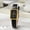 Black with gold shell black plate, variant on Women's Fashion Belt Watch Casual Fashion Student Popular Quartz Watch
