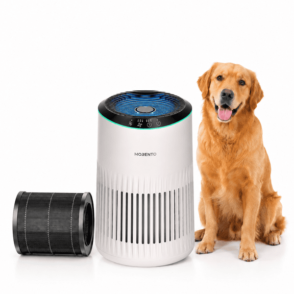 MR2566 Bedroom Air Purifier  1 Pack Standard Filter Bundle, Filters Out Pet Hair, Dander, Smoke and Odors, Quiet Sleep Mode and Fragrance Sponge