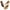 Beige, variant on Ecetana Women Sandals Flip Flops for Women Summer Casual Wedge Sandals Shoes Massage Function
