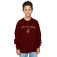 thumbnail image 2 of Harry Potter Boys Gryffindor Crest Sweatshirt, 2 of 3