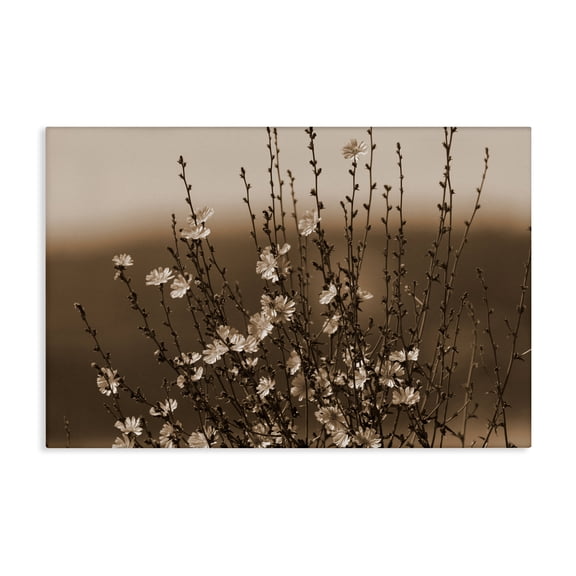 Stupell Industries Cottage Tiny Blooming Flowers Canvas Art, 24 x 16, by Nancy Crowell
