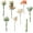Burnt Orange & Green, variant on Artificial Greenery Stems Box Set, 25pcs with 4 Kinds of Faux Greenery Flowers Picks for DIY Bridal Bouquets Wedding Floral Arrangement Table Centerpieces, Tender Green & Sage Green