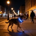 thumbnail image 6 of LED Dog Collar | Double Fiber Optic Illumination, USB Rechargeable, Adjustable 15.75-18.9" | Waterproof Glow Nylon Pet Collar for Nighttime Walking, Rustproof, Blue Green Red Pink, 6 of 7