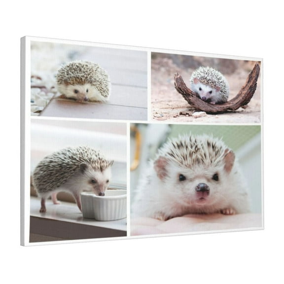 Custom Canvas Prints Gray Cute Hedgehog Personalized Photo Image Collage DIY Framed Kit Wall Art Picture Room Decor 16x20 inch