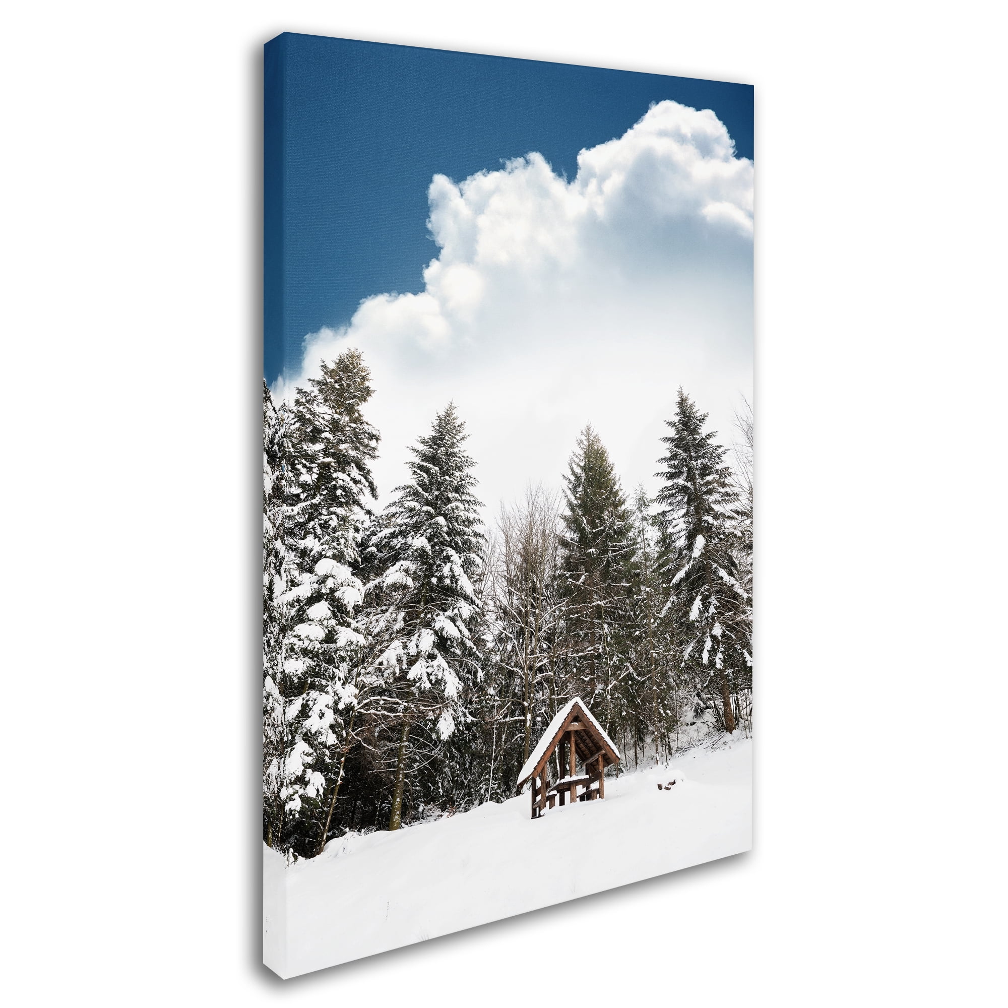 Trademark Fine Art 'Always Been' Canvas Art by Philippe Sainte-Laudy