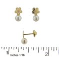 thumbnail image 2 of 18K Solid Yellow Gold Flower with Pearl Covered  Screwback Earrings, 2 of 3