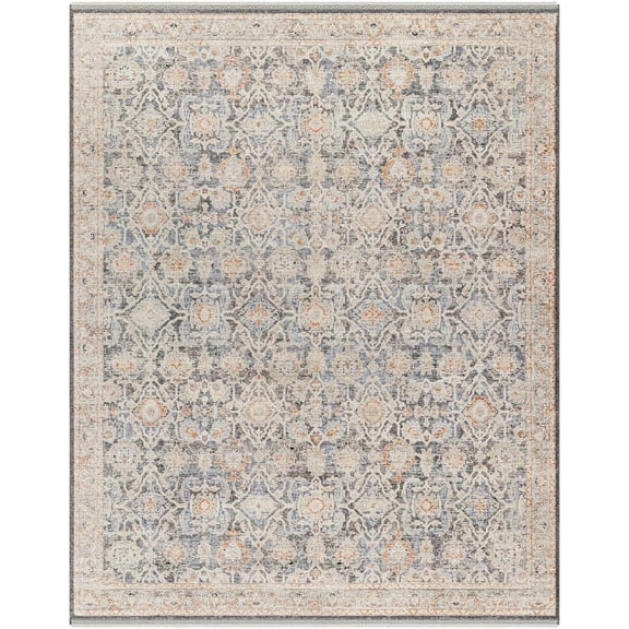 BoutiqueRugs Harel Traditional Area Rug - Natural Gray, Taupe, Gray - 2' x 2'11"