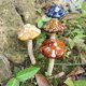 thumbnail image 2 of 4pcs Ceramic Garden Mushrooms Figurine Simulation Mushroom Model for Flower Pot Lawn Ornament Decorative Mushrooms Fairy Garden Miniature Red, 2 of 5