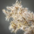 thumbnail image 2 of Sullivans Artificial Dried Brown Cotinus Stem 23.5"H Brown, 2 of 3