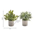thumbnail image 3 of Artificial Plant In Cement Pot Asstd - Set of 2, 3 of 3