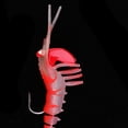 thumbnail image 4 of Simulación En 3D Cebo Suave Camarones Señuelos Tackle Hook 7cm shamjiam Set de Señuelos de Pesca shamjiam Set de Señuelos de Pesca, 4 of 8