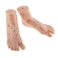 thumbnail image 1 of LOVIVER Paire de PVC Masseur de Pied Réflexologie Point Modèle Modèle de Pied Matériel Pédagogique, 1 of 6