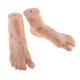 thumbnail image 1 of 2pcs ador de piezas modelos de punto de reflexología modelo de piezaza suministros de enseñanza DYNWAVEMX Suministro de masajeador de pies de PVC, 1 of 6