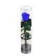 thumbnail image 3 of Una sola flor eterna hecha a mano, regalo de San Valentín, Tanabata, Navidad, 3 of 6