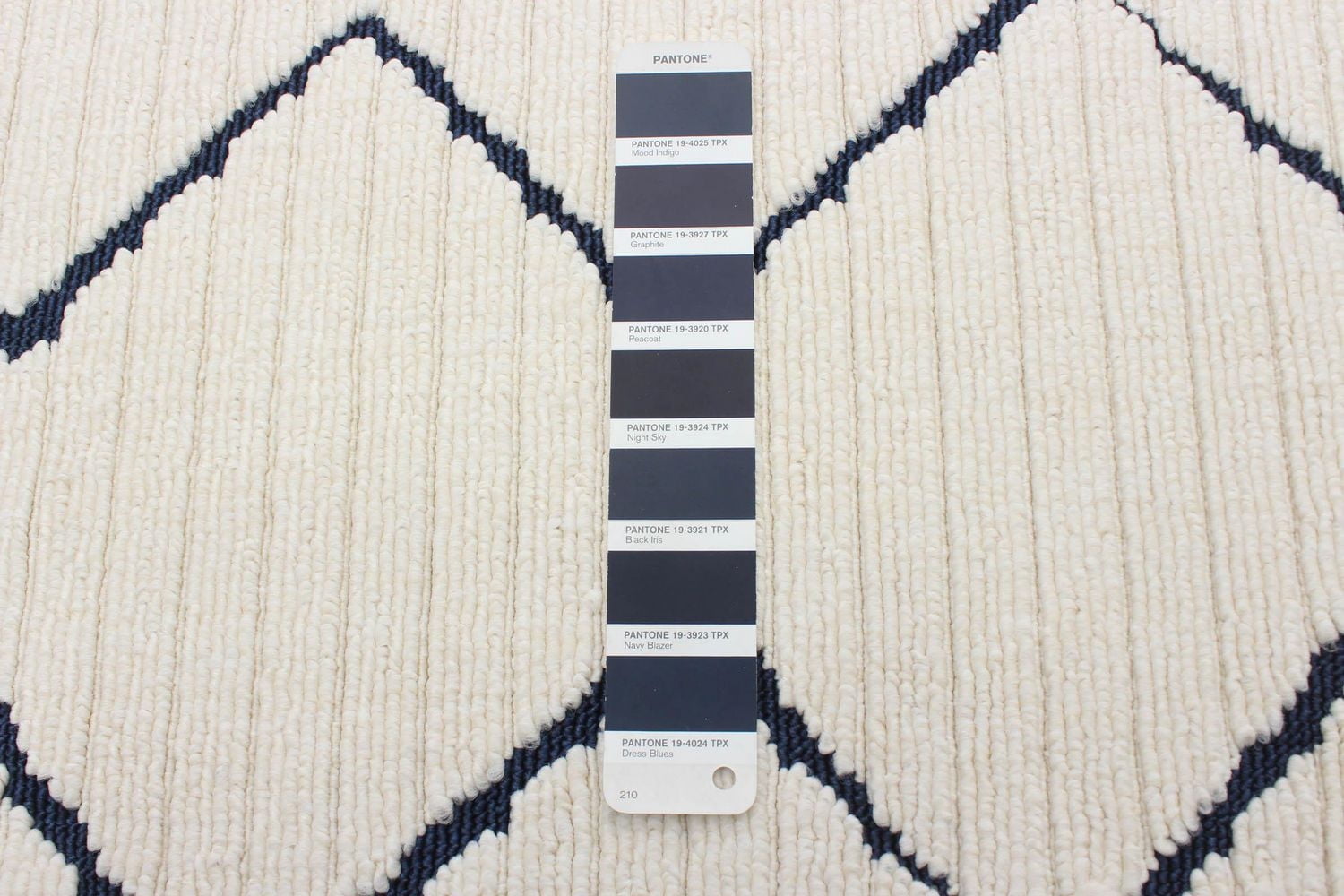 ECARPET Indoor/Outdoor for Balcony, Patio and Garden Raya Blue, Ivory Rug