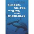 thumbnail image 2 of Sharks, Skates, and Rays of the Carolinas, 2 of 3