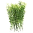thumbnail image 3 of ColoMX Árboles de bambú de plástico de 40 piezas Bambú artificial árboles falsos de bambú mini Modelos de árboles de bambú de bambú, 3 of 7