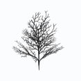 thumbnail image 2 of Sahpxhe Halloween Decorations Outdoor Black Artificial Branches, Artificial Black Bare Branch Stems Faux Twig Plants Tabletop Ornament for Indoor Mantel Porch Yard Holiday Party Decor Black, 2 of 7