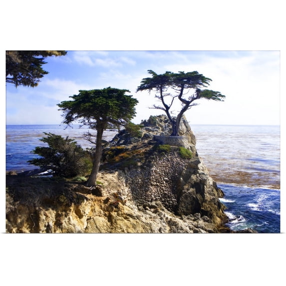 Great BIG Canvas | "Lone Cypress 2" Art Print - 48x32