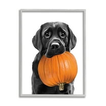 Stupell Industries Lab Dog with Pumpkin Holiday Painting Gray Framed Art Print Wall Art, 11 x 14