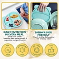 thumbnail image 2 of Divided Portion Plates Silicone, Suction Cup Plates for Girls and Boys Toddlers and Babies, Fits High Chair, BPA Free, Food Grade Silicone, Green, 2 of 9