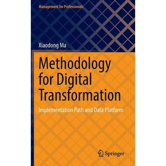 Management for Professionals Methodology for Digital Transformation: Implementation Path and Data Platform, (Hardcover)