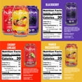 thumbnail image 5 of Humm Kombucha, The Crowd Pleaser Variety Pack, 18 Pack, 12 oz Cans, 5 of 6
